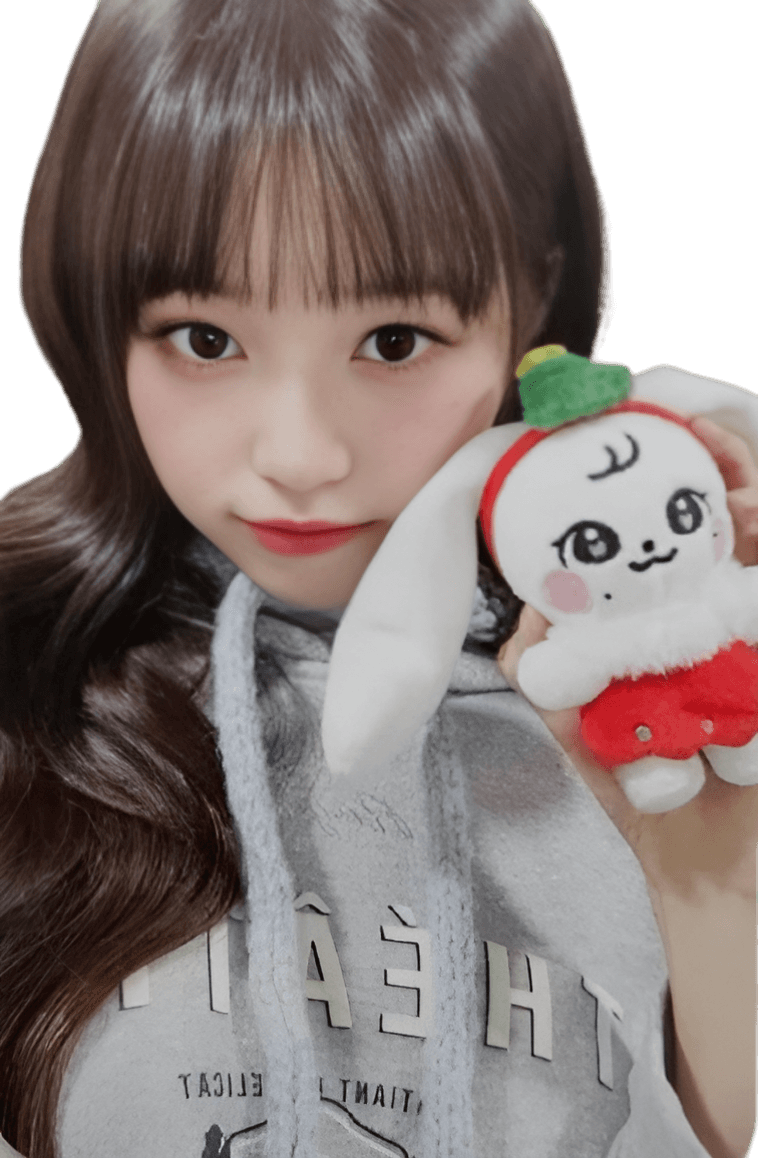 Cherry Wonyoung plushie